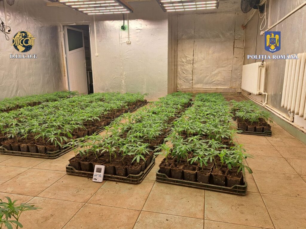 Polițiștii  Serviciului de Combatere a Criminalității Organizate Dâmbovița, împreună cu procurorii Direcției de Investigare a Infracțiunilor