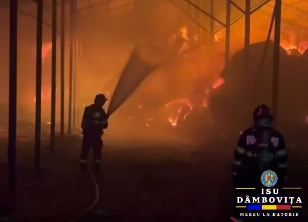 Incendiu produs la baloți depozitați într-o hală în localitatea Răcovița. VIDEO Incendiu produs la baloți depozitați într-o hală în localitatea Răcovița, în jurul orei 00:02, pompierii au fost solicitați să intervină.