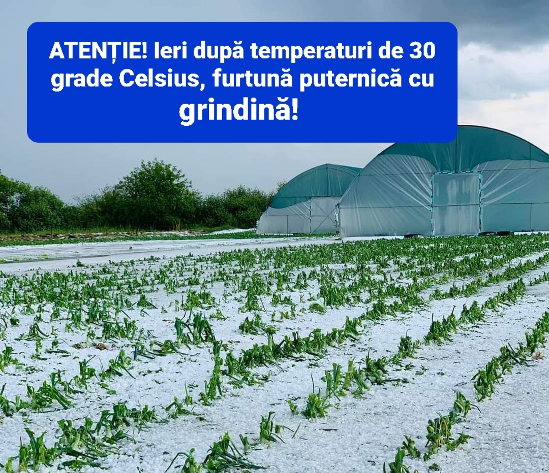 Temperaturi ridicate și instabilitate atmosferică: Atenție la schimbările bruște de vreme.
