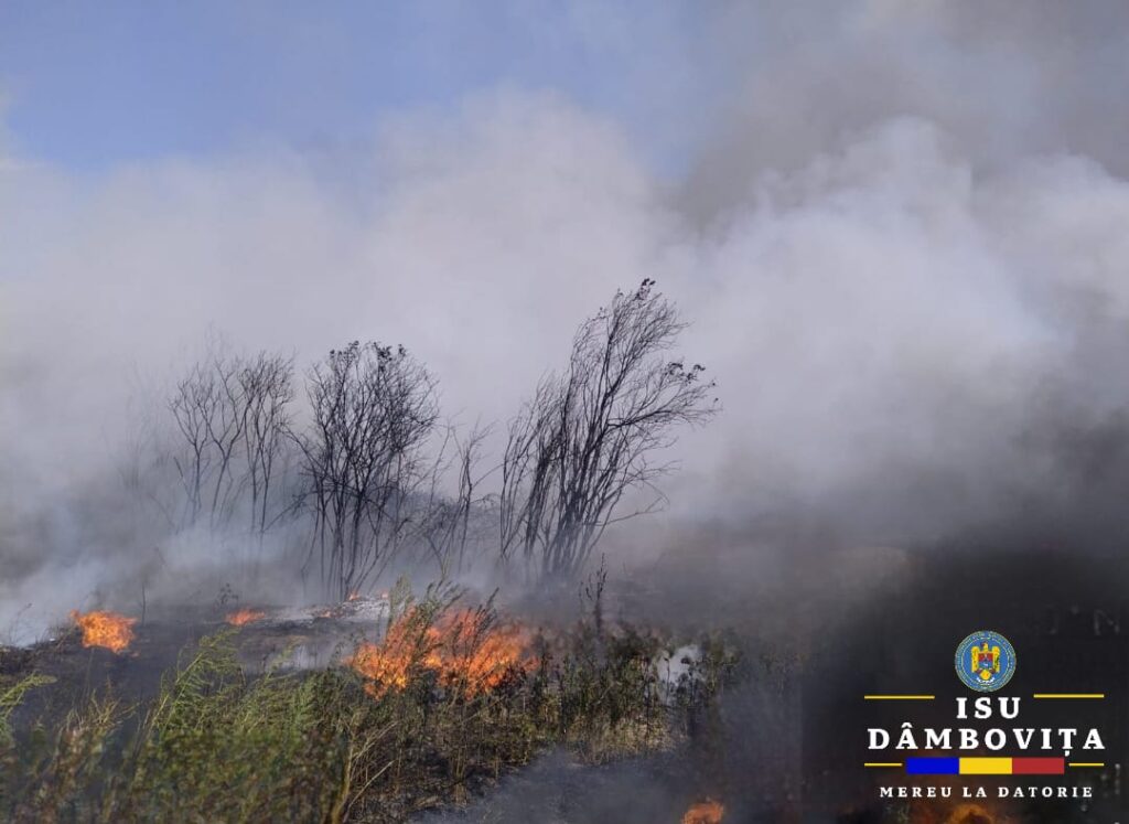 Incendiu de vegetație uscată în cartierul Priseaca Incendiu de vegetație uscată în cartierul Priseaca, Detașamentul de Pompieri Târgoviște intervine cu două autospeciale de stingere cu apă și spumă.