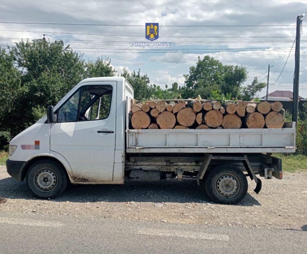 Polițiștii dâmbovițeni au depistat două autoutilitare care transportau ilegal lemne Polițiștii dâmbovițeni au depistat, pe drumul național 72, în localitatea Dărmănești, și pe raza orașului Găești,