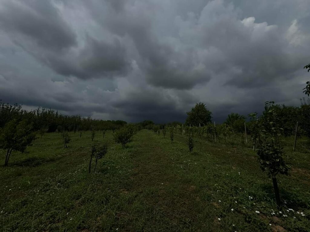Meteorologii  anunță VIJELII, GRINDINĂ ȘI RĂCIRE în perioada 24 - 26 IULIE, gradul de instabilitate atmosferică