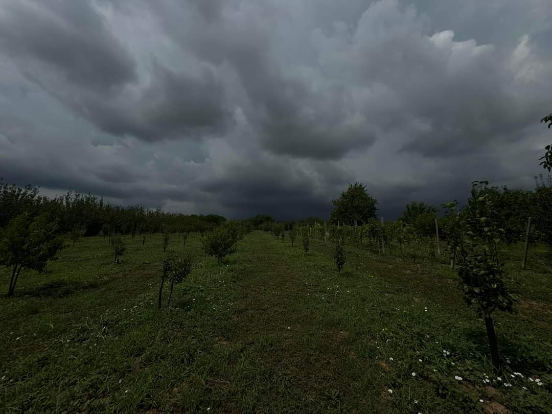 Meteorologii anunță VIJELII, GRINDINĂ ȘI RĂCIRE în perioada 24 - 26 IULIE, gradul de instabilitate atmosferică
