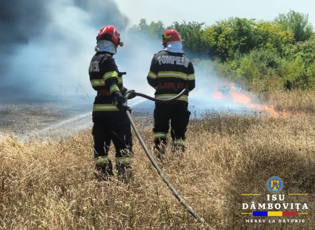 Incendiu de vegetație uscată în localitatea Mătăsaru