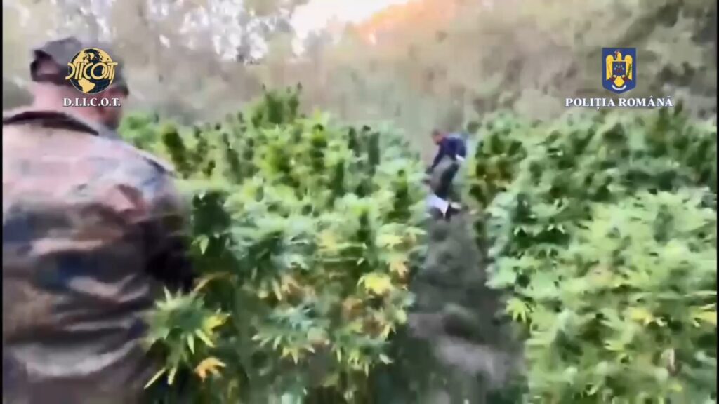 Polițiștii Serviciului de Combatere a Criminalității Organizate Dâmbovița, împreună cu procurorii Direcției de Investigare a Infracțiunilor de Criminalitate