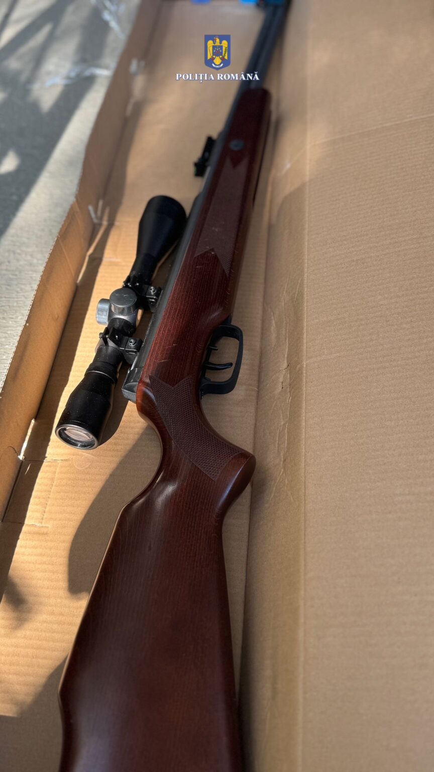 Au braconat două căprioare într-o pădure din comuna dâmbovițeană Hulubești, la data de 5 septembrie a.c., în jurul orei 02:00