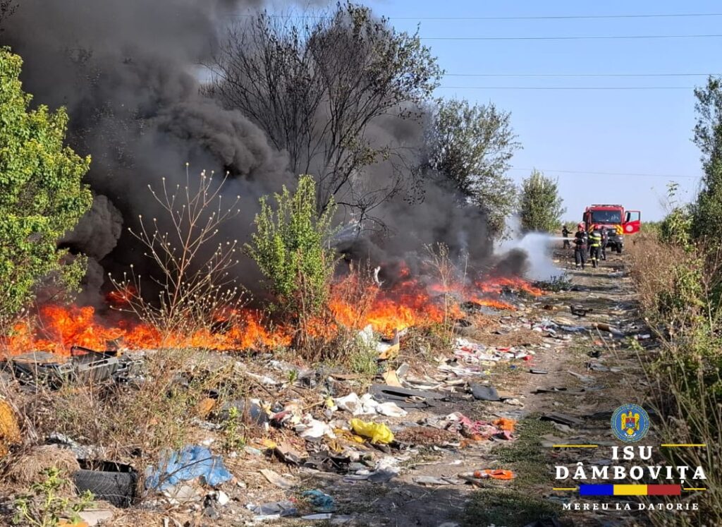Incendiu de vegetație uscată în localitatea Bălteni, într-o intervenție rapidă și eficientă, Garda de Intervenție Răcari a reușit să stăvilească un incendiu