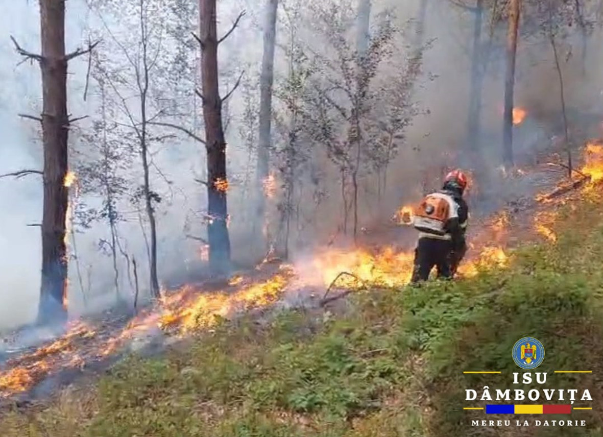 NU IGIENIZAȚI TERENURILE PRIN INCENDIERE! Ieri , echipajele de pompieri au fost solicitate să intervină în două incendii majore, care au pus la încercare limitele fizice ale pompierilor.