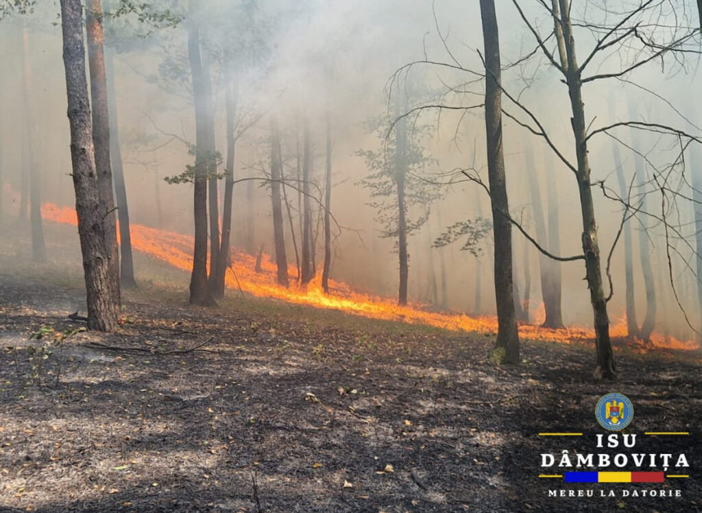 NU IGIENIZAȚI TERENURILE PRIN INCENDIERE! Ieri , echipajele de pompieri au fost solicitate să intervină în două incendii majore, care au pus la încercare limitele fizice ale pompierilor.