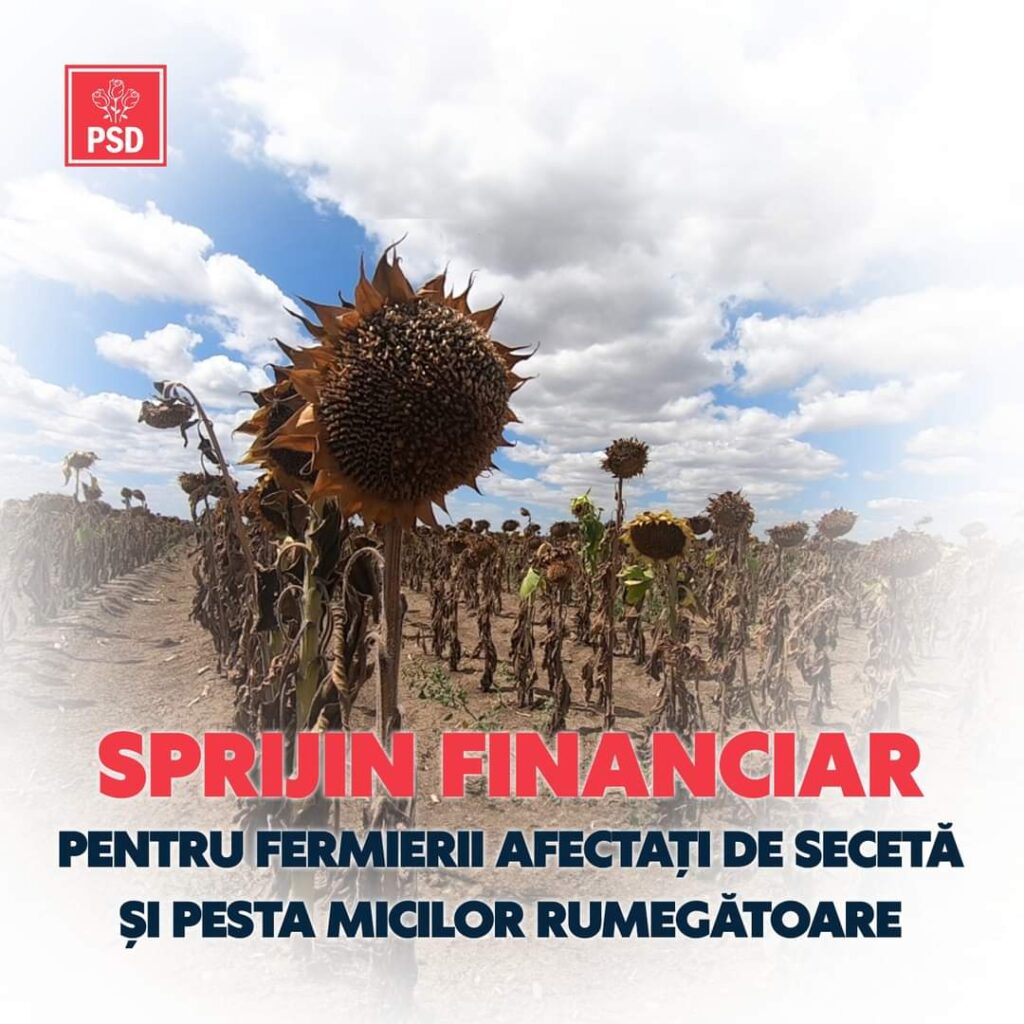 PSD Dâmbovița anunță că fermierii români vor primi despăgubiri încă din această toamnă pentru culturile afectate de secetă. 