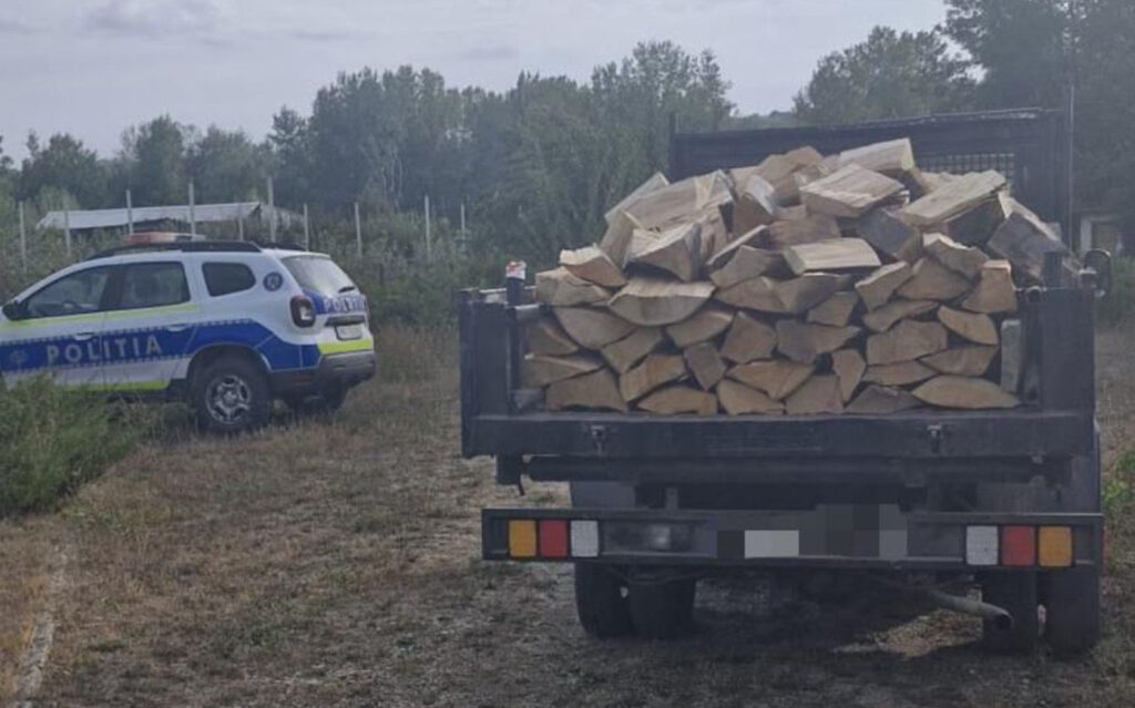 Razie în județul Dâmbovița privind comercializarea materialului lemnos, polițiștii din cadrul Serviciului de Ordine Publică - Biroul pentru Protecția Fondului Forestier și Piscicol