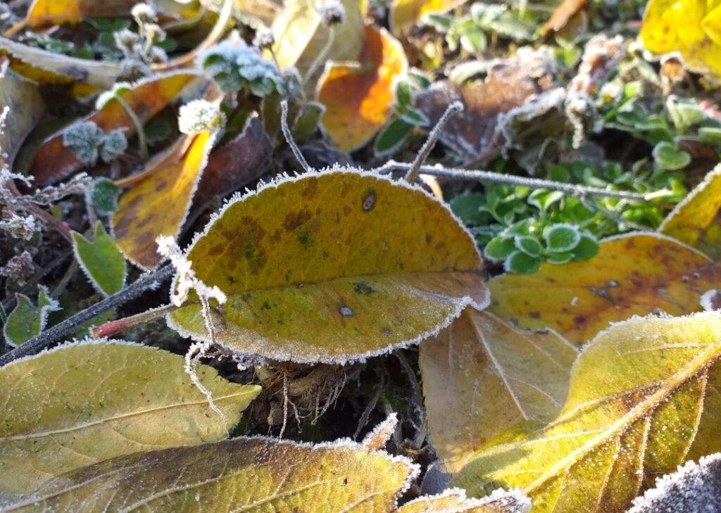 ATENȚIE LA SCHIMBĂRILE BRUȘTE DE TEMPERATURĂ din următoarele ore, astăzi  soarele  își va face simțită prezența însă de vineri