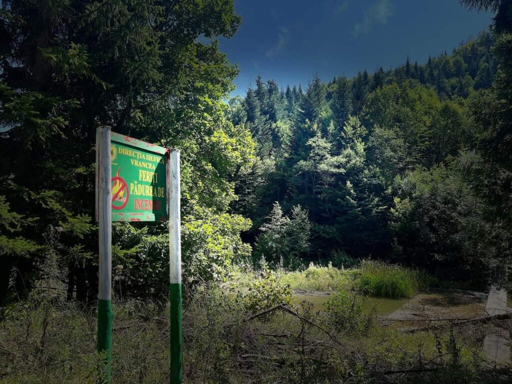 A sosit toamna, cel puțin calendaristic A sosit toamna, cel puțin calendaristic, mai este până la ploile cele reci și posomorâte, până la spectacolul trist al desfrunzirii codrilor