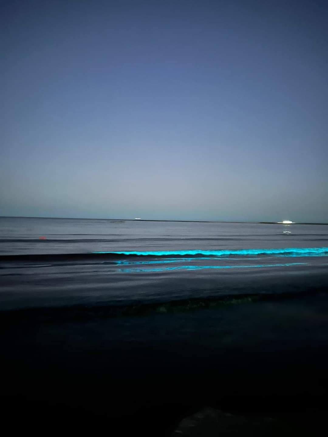Spectacol de Bioluminiscență pe litoral în noaptea de 22 octombrie, un fenomen rar și fascinant.