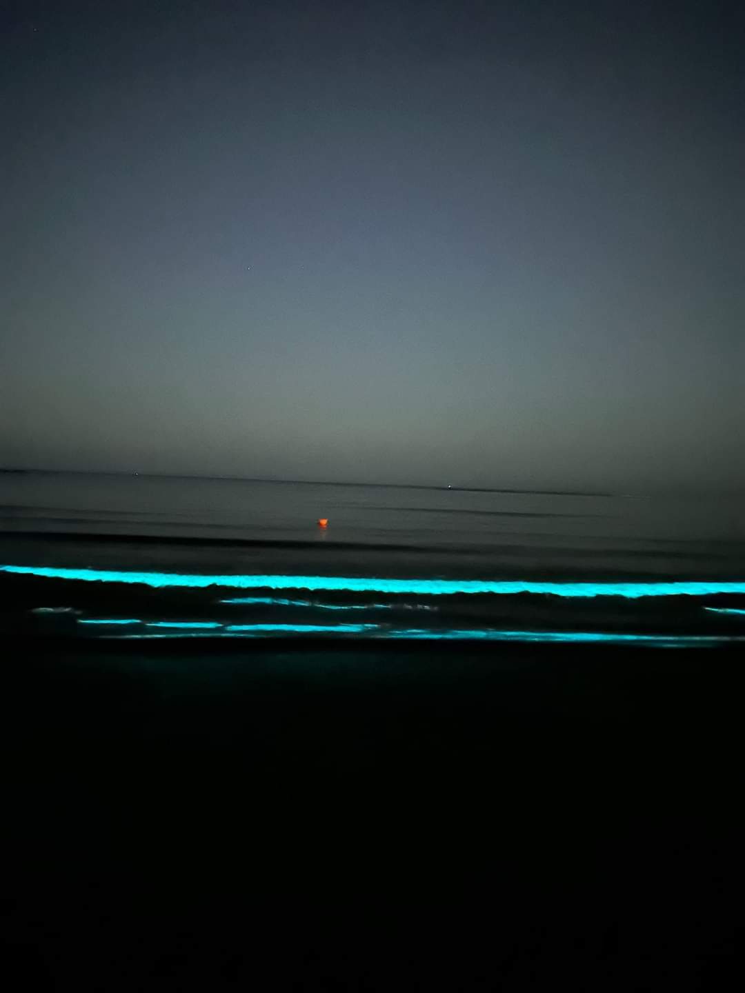 Spectacol de Bioluminiscență pe litoral în noaptea de 22 octombrie, un fenomen rar și fascinant.
