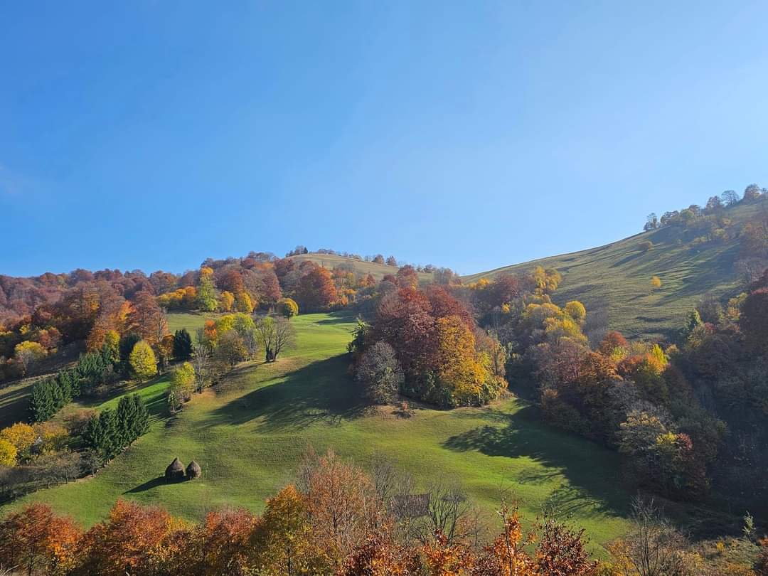 Descoperă magia Toamnei în Parcul Natural Muntii Maramureșului, peisajele încântătoare ale Parcului Natural Muntii Maramureșului