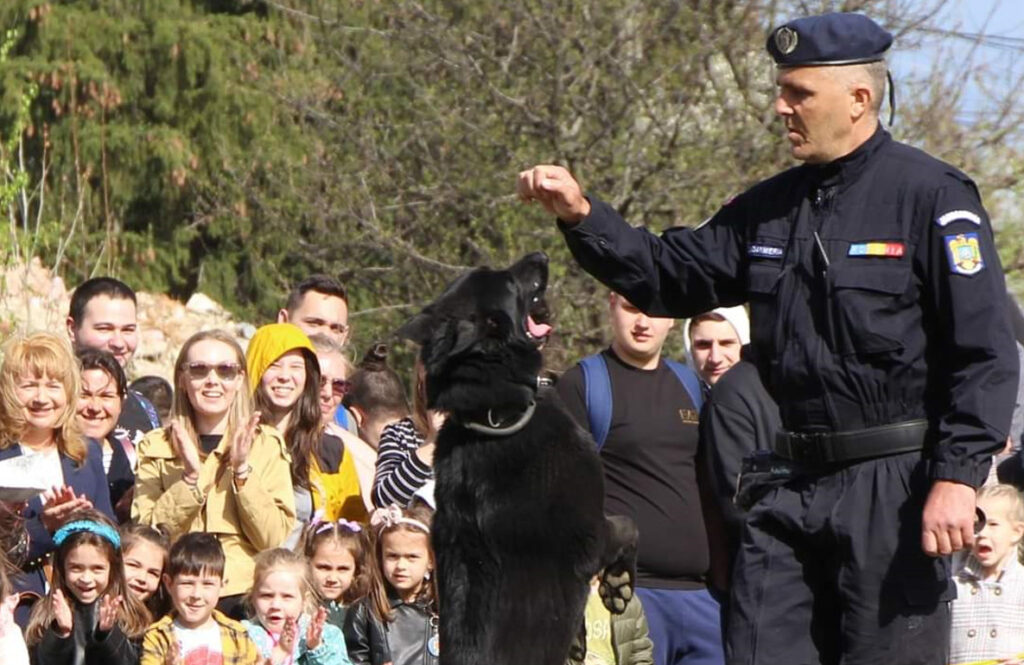 Câinii de serviciu ai Jandarmeriei Dâmbovița sunt  apreciați ca adevărați parteneri de nădejde în misiunele de intervenție.