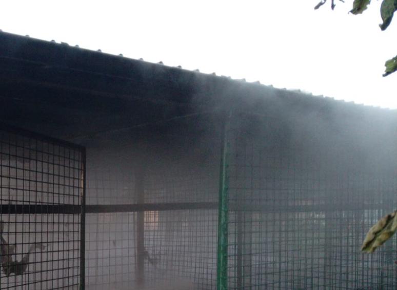 Pompierii au fost solicitați să intervină în cazul unui incendiu produs în localitatea Lungulețu, s-au luptat mai bine de 30 de minute cu focul.