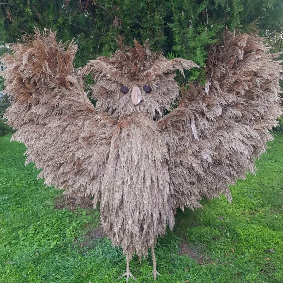 Expoziția „Flori de toamnă”, o explozie frumusețe și culori la Grădina Botanică „Anastasie Fătu” a Universității „Alexandru Ioan Cuza” din Iași.