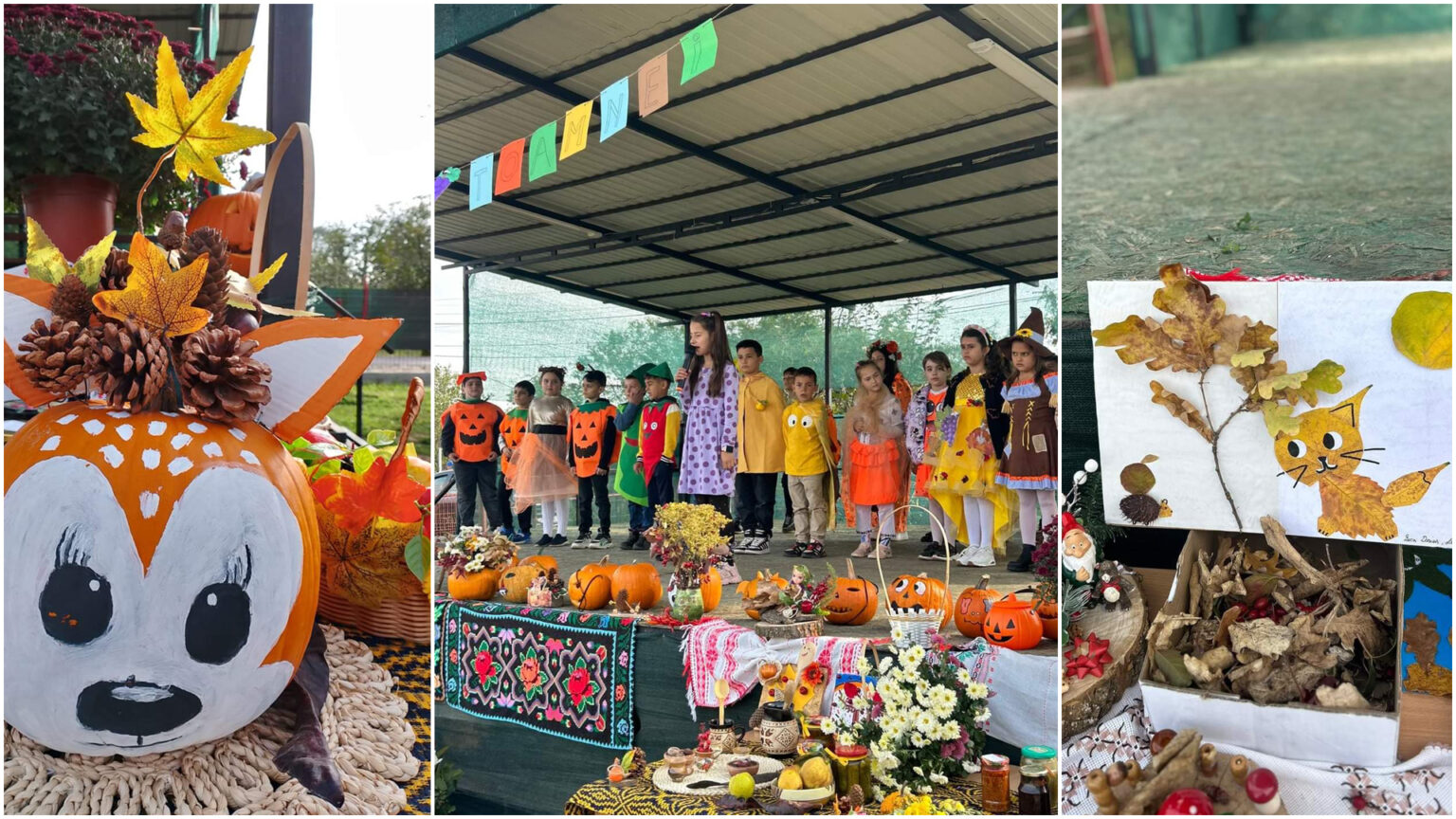  Școala Colacu din Răcari a organizat cu entuziasm Târgul de Toamnă  sub motto-ul „Ce e toamna, dragi copii?