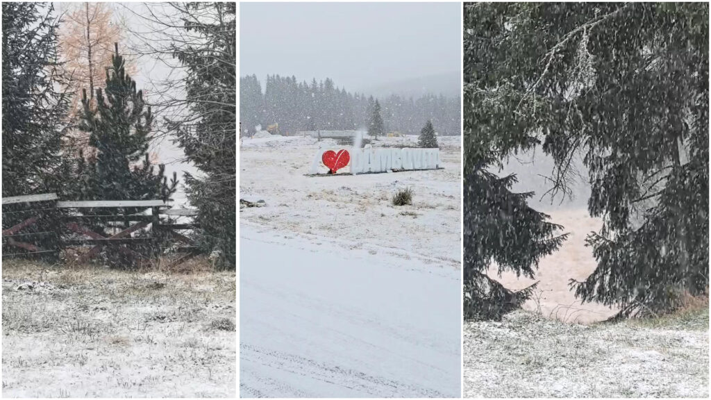 Prima ninsoare din județul Dâmbovița aduce peisaje de poveste în zona Padina-Peștera, iarna s-a instalat oficial în județul Dâmbovița.