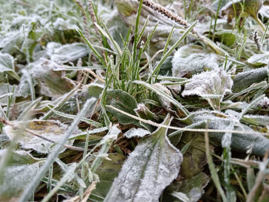 Valul de aer polar a adus răcire brutală în toată țara , provocând scăderi semnificative ale temperaturilor.