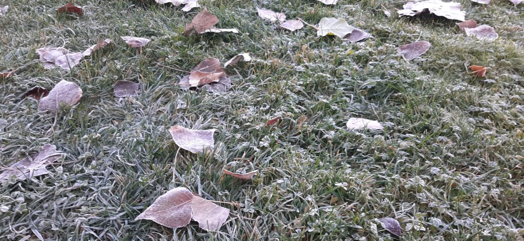 Târgoviște se confruntă cu un val de aer polar, iar în această dimineață temperaturile au scăzut brusc la -5 grade Celsius.