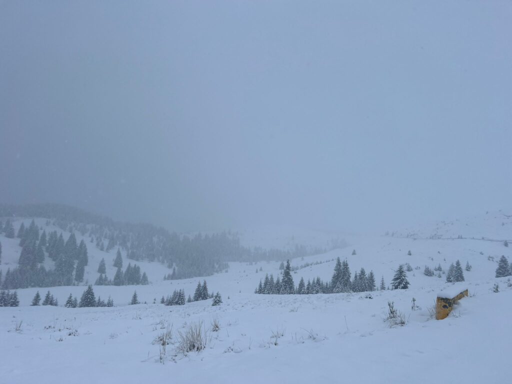 Atenție, șoferi! COD GALBEN DE VÂNT puternic în Dâmbovița și zăpadă în zona montană, la peste 1000 de metri. VIDEO Atenție, șoferi! COD GALBEN DE VÂNT puternic în Dâmbovița și zăpadă în zona montană, la peste 1000 de metri.