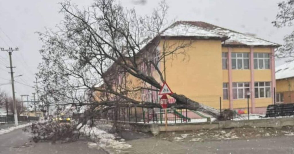 ULTIMA ORĂ: COD GALBEN DE VÂNT PUTERNIC în  tot județul Dâmbovița în intervalul 30 noiembrie 2024, ora 10:00 – 01 decembrie 2024, ora 20:00.