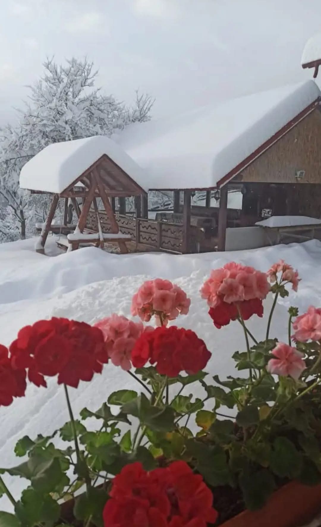 Zăpadă semnificativă în Munții Carpați, în urma ninsorilor din ultimele zile, stratul de zăpadă s-a acumulat semnificativ