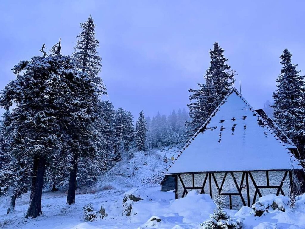 Alertă meteo: Răcire semnificativă, ploi, lapoviță și ninsori în următoarele zile, 12 - 16 noiembrie.
