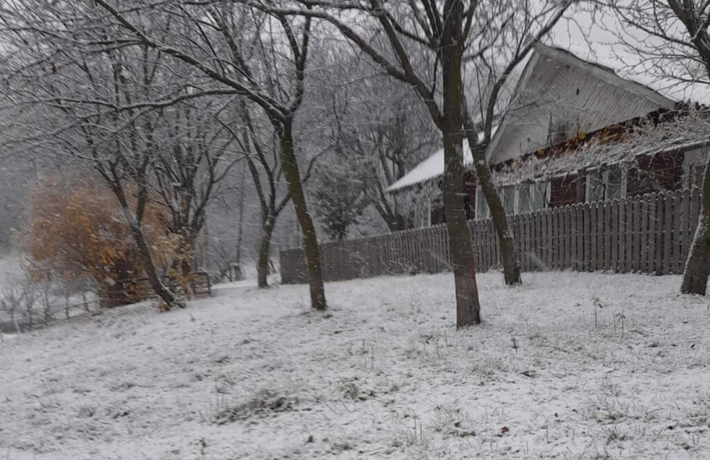 Ninsoare și vânt puternic în Buzău, imagini  din această dimineață. 