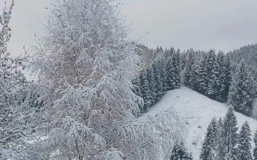  Moieciu, o pitorească destinație montană  devine un adevărat basm de iarnă în această perioadă. Peisajele acoperite cu zăpadă,