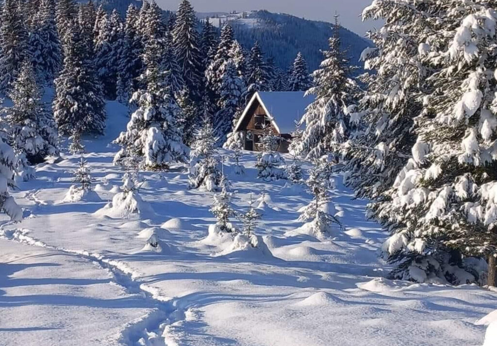 Ninsori abundente și peisaje de vis, 23 noiembrie 2024, în Bucovina  care s-a transformat într-un adevărat tărâm al iernii, după ce ninsorile abundente