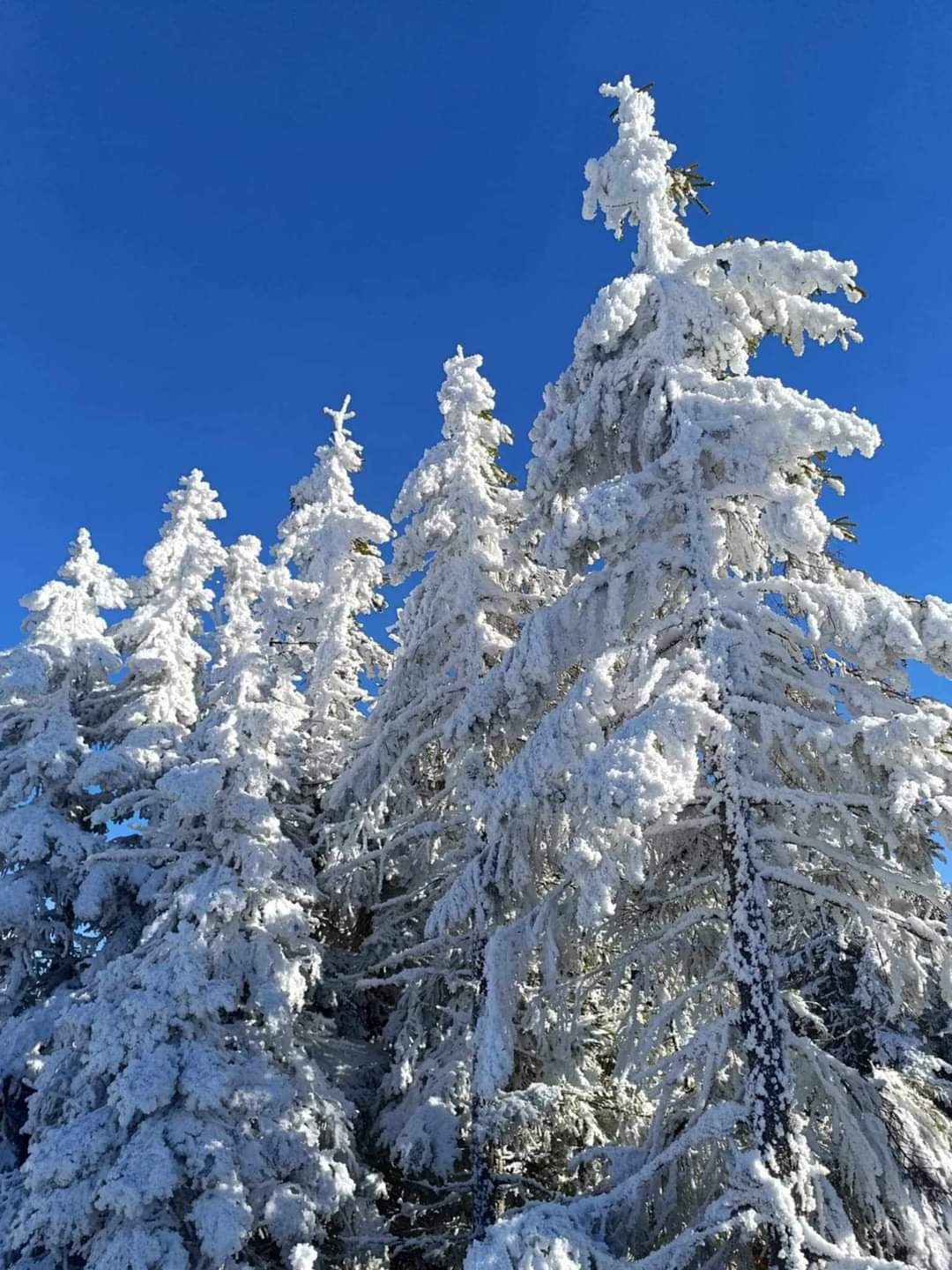 Astăzi, "Imaginile Zilei", un peisaj spectaculos din Carpații Orientali. Vârful Omu, cel mai înalt vârf din Munții Suhard, se înalță la 1932 metri