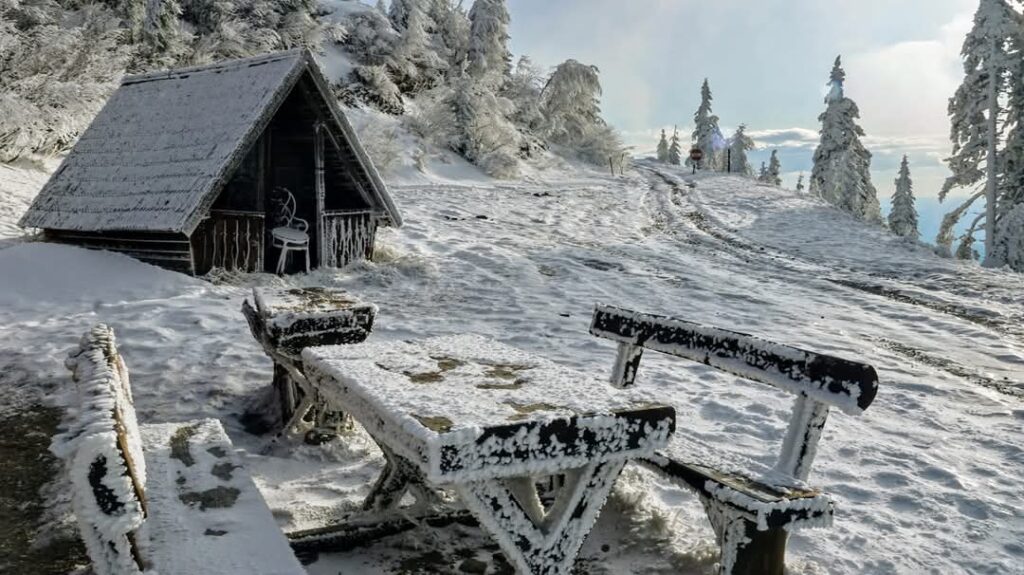 Iarnă de basm în Parcul Național Cozia: Un colț de rai protejat în Carpații Meridionali Iarnă de basm în Parcul Național Cozia.Peisajele din Parcul Național Cozia, situat în județul Vâlcea, se transformă în această perioadă a anului