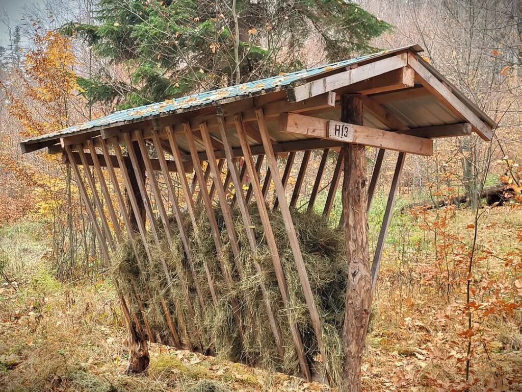 Romsilva asigură animalelor hrană complementară și sare în sezonul rece,  când condițiile naturale îngreunează accesul la hrană