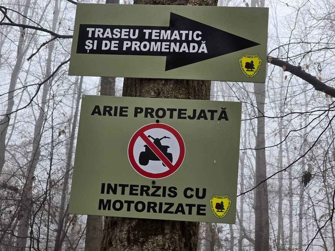Premieră în județul Dâmbovița: Ocolul Silvic Sturzeni și voluntarii au lansat primul traseu tematic eco-educativ "Stejarul de 1000 de ani".