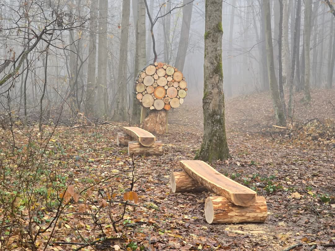 Premieră în județul Dâmbovița: Ocolul Silvic Sturzeni și voluntarii au lansat primul traseu tematic eco-educativ "Stejarul de 1000 de ani".