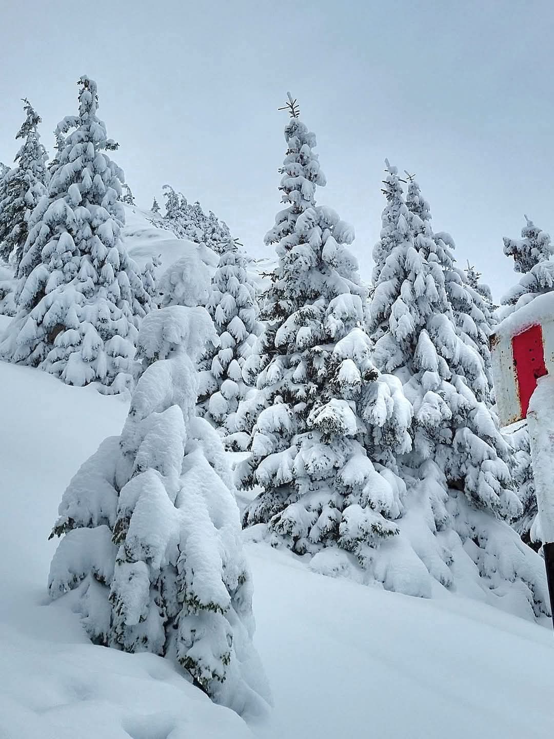 Un traseu palpitant pe Vârful Ciucaș: Provocări de iarnă și peisaje impresionante, astăzi, un iubitor al muntelui a trăit o aventură de neuitat pe Vârful Ciucaș