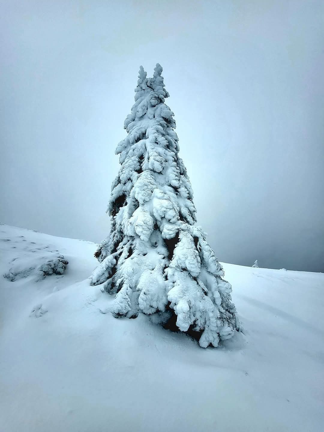 Un traseu palpitant pe Vârful Ciucaș: Provocări de iarnă și peisaje impresionante, astăzi, un iubitor al muntelui a trăit o aventură de neuitat pe Vârful Ciucaș