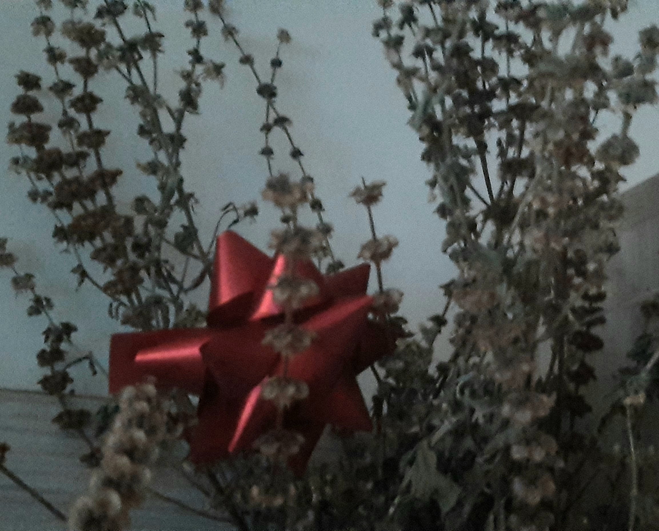 Când se pune busuioc sub pernă: Tradiția de Bobotează pentru a-ți visa ursitul.