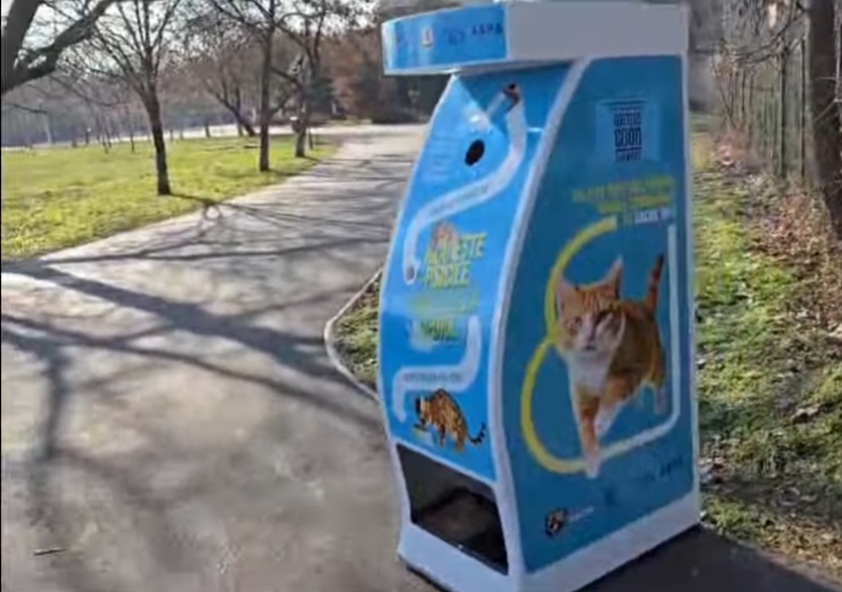 Donezi o sticlă, hrănești o pisică! Totul se întâmplă în Parcul Tineretului din București.