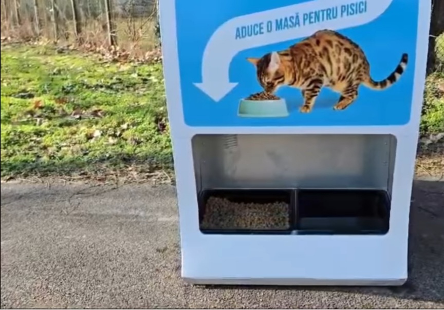 Donezi o sticlă, hrănești o pisică! Totul se întâmplă în Parcul Tineretului din București.