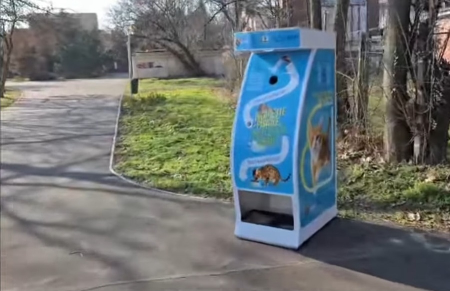 Donezi o sticlă, hrănești o pisică! Totul se întâmplă în Parcul Tineretului din București Donezi o sticlă, hrănești o pisică! Totul se întâmplă în Parcul Tineretului din București.
