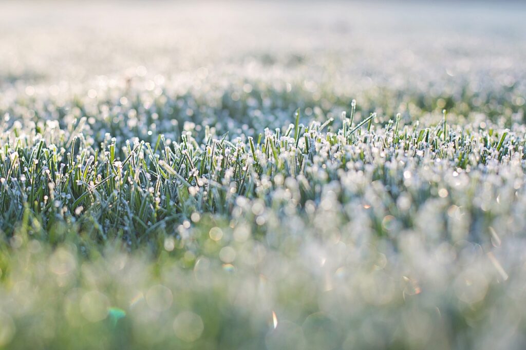 Val de ger extrem: Temperaturi record în dimineața zilei de 16 ianuarie Val de ger extrem: Temperaturi record în dimineața zilei de 16 ianuarie, România se confruntă cu o iarnă care a adus temperaturi extrem de scăzute în întreaga țară.