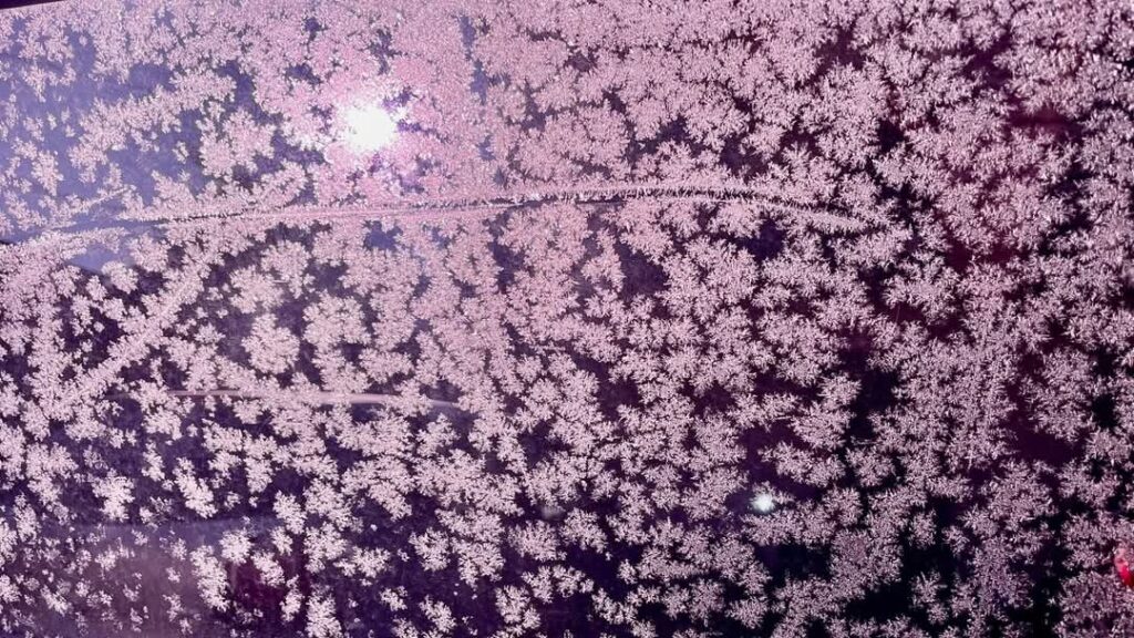 Dimineața de azi la Târgoviște ne-a întâmpinat cu un aer rece și tăios, cu temperaturi ce au coborât până la -8 grade Celsius.