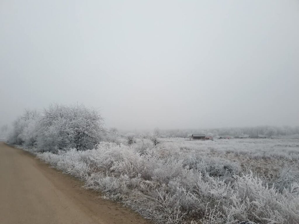 Gerul a ajuns și  la Târgoviște: Temperaturile au  coboară la  -10°C pe 15 ianuarie.