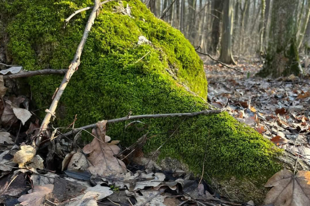 Prognoza meteo pentru 28 ianuarie: O zi cu variații mari de temperatură, cu ploi și ninsori pe crestele montane Prognoza meteo pentru 28 ianuarie, în ciuda faptului că suntem la sfârșitul lunii ianuarie, vremea din România va fi mult mai caldă decât în mod obișnuit pentru această perioadă.