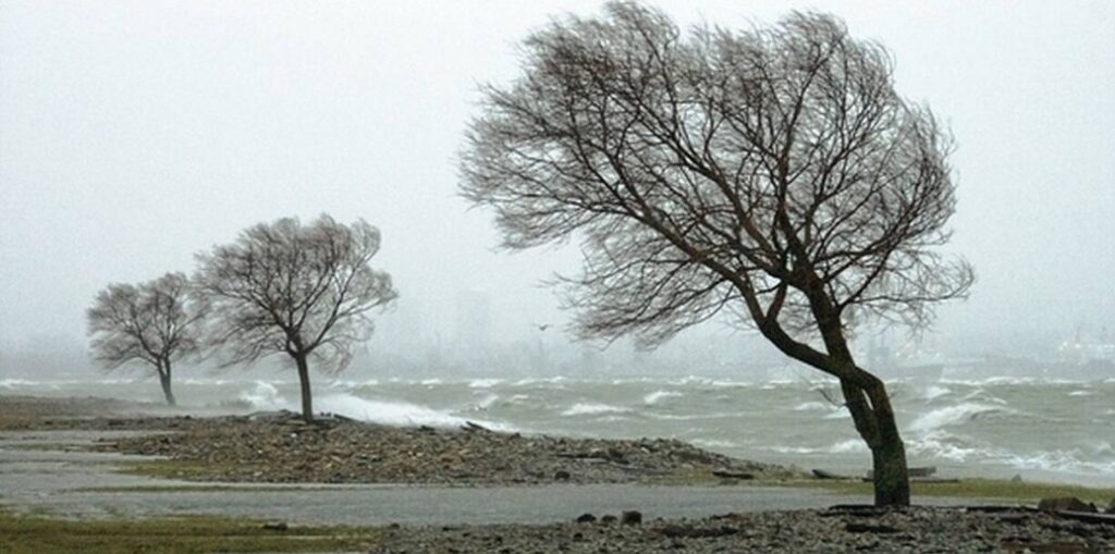 INFORMARE METEOROLOGICĂ de VÂNT și POLEI pentru județul Dâmbovița, începând din această seară, 5 ianuarie, ora 20:00, până marți